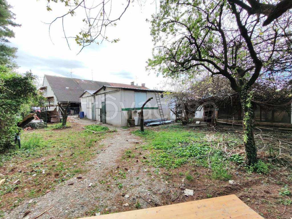 immagine annuncio 12 di 15