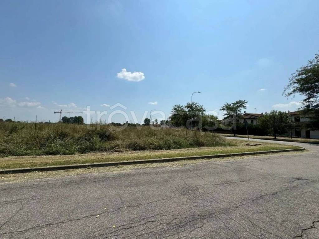 immagine annuncio 5 di 10