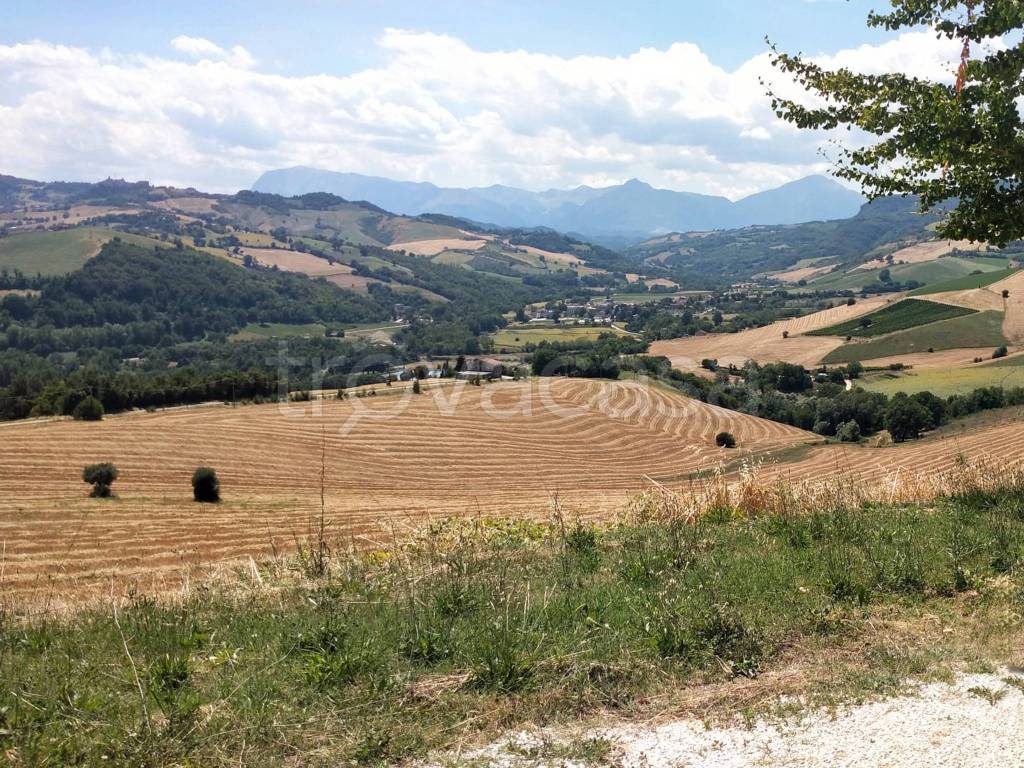 immagine annuncio 1 di 9