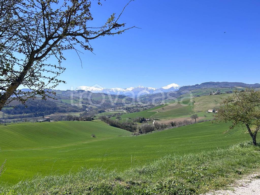 immagine annuncio 3 di 9
