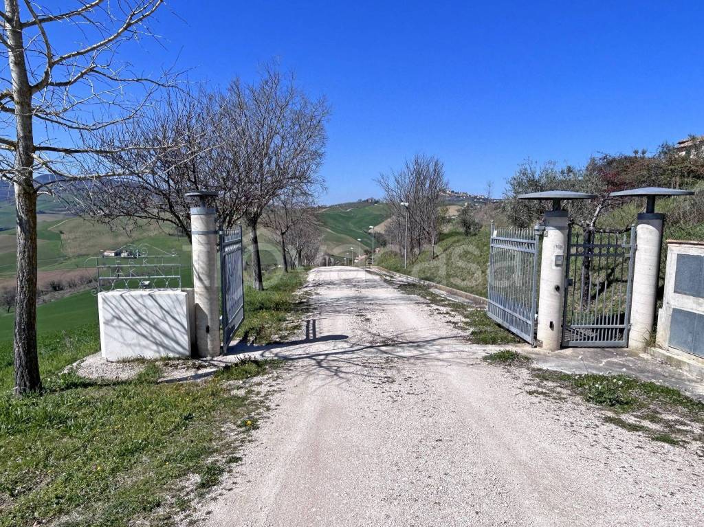 immagine annuncio 4 di 9