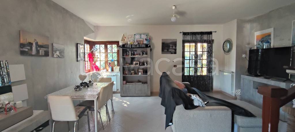 immagine annuncio 12 di 15