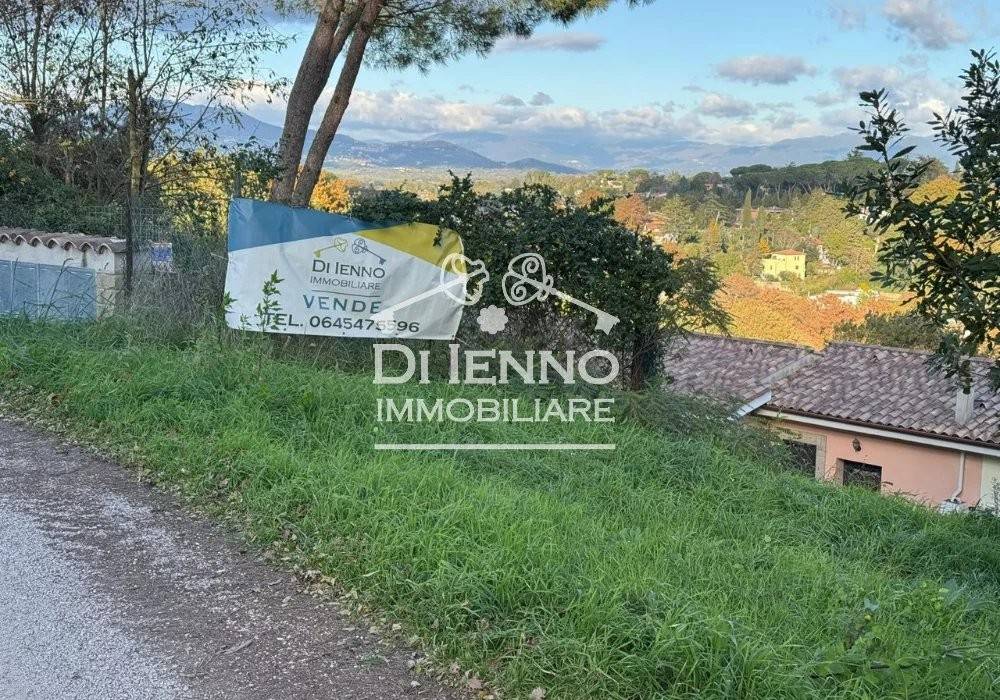 immagine annuncio 4 di 6