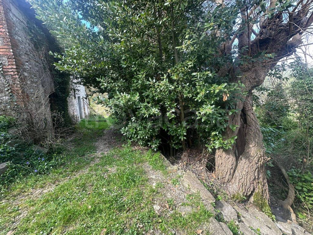 immagine annuncio 2 di 9