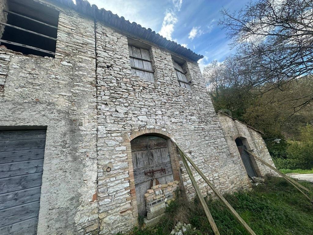 immagine annuncio 3 di 9