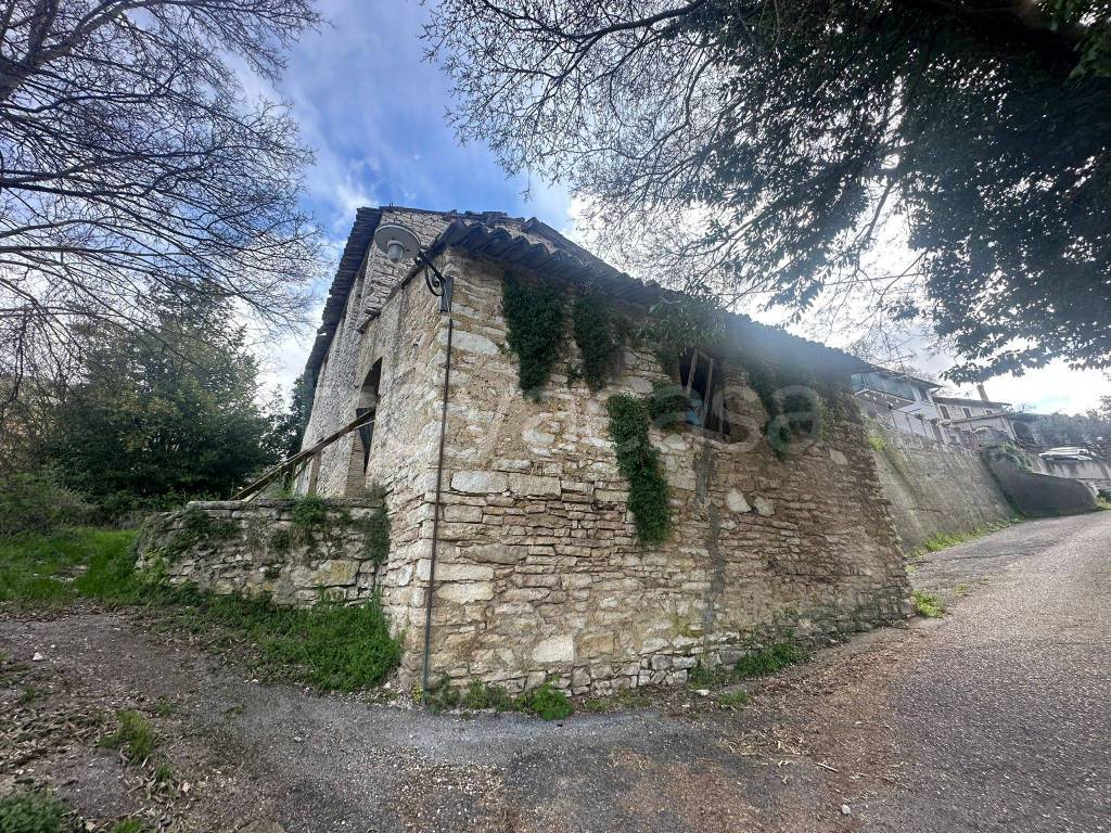 immagine annuncio 4 di 9