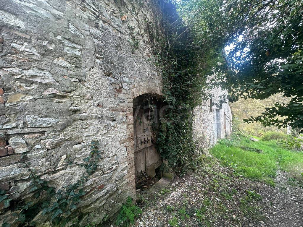 immagine annuncio 5 di 9