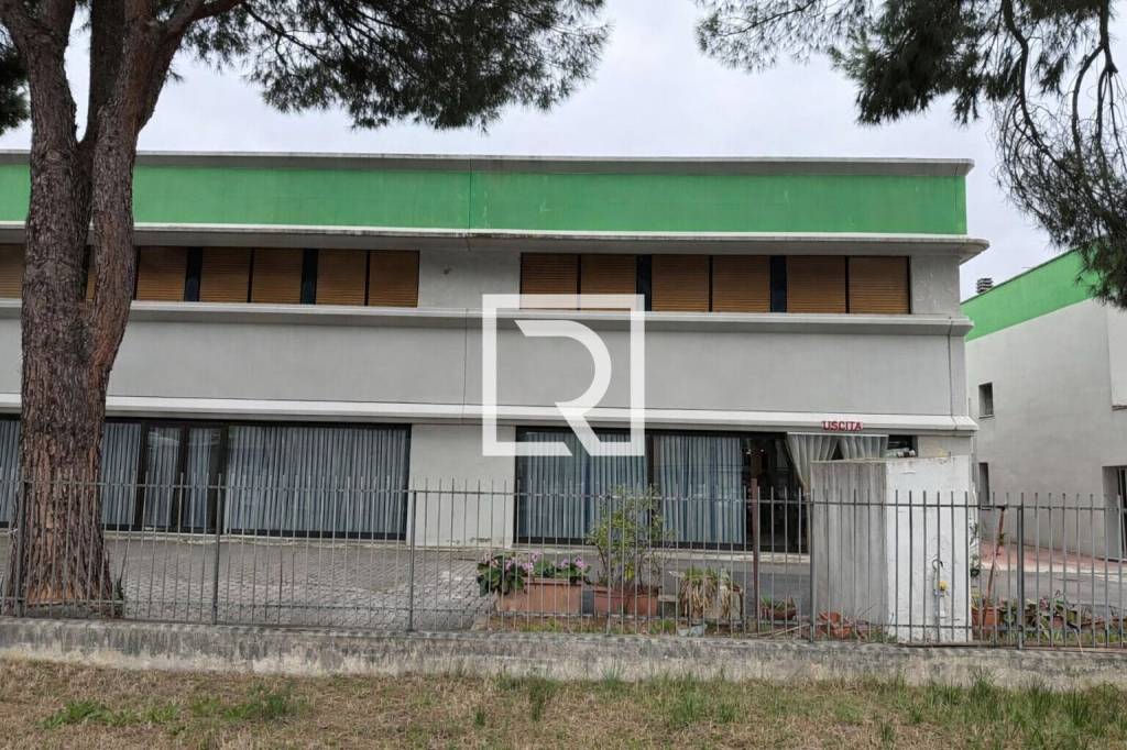 immagine annuncio 1 di 8