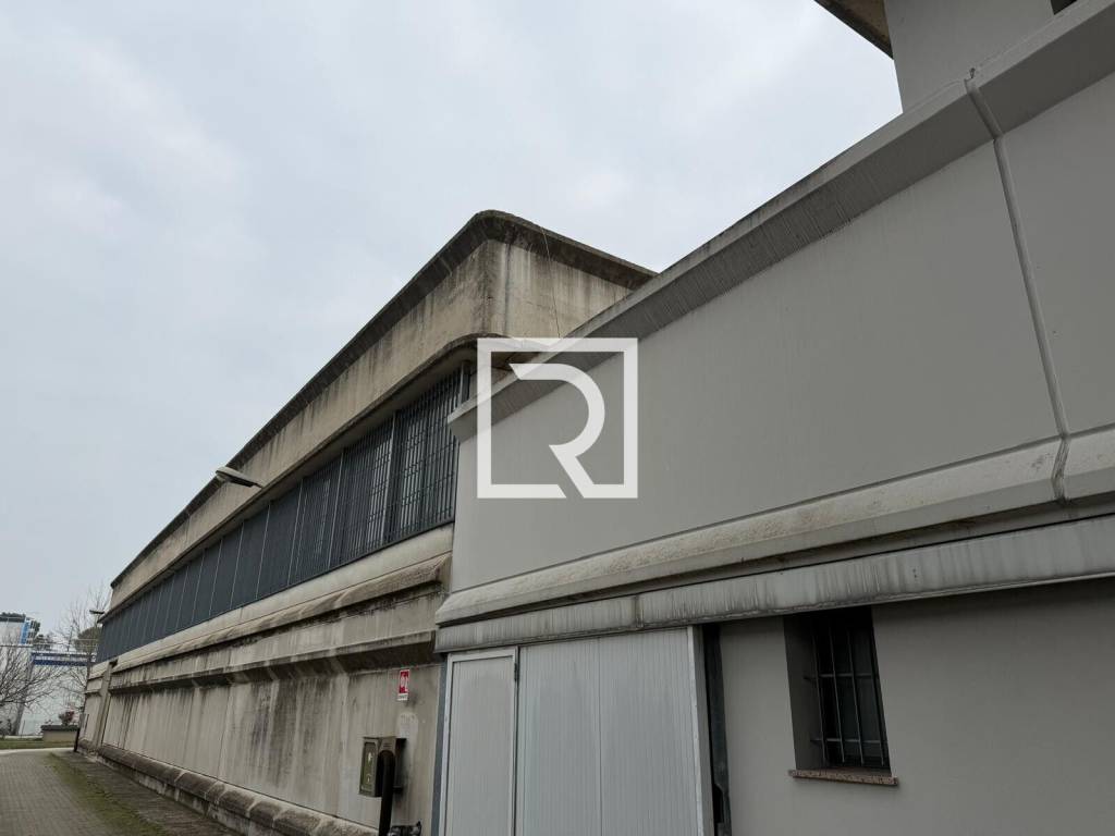 immagine annuncio 6 di 8