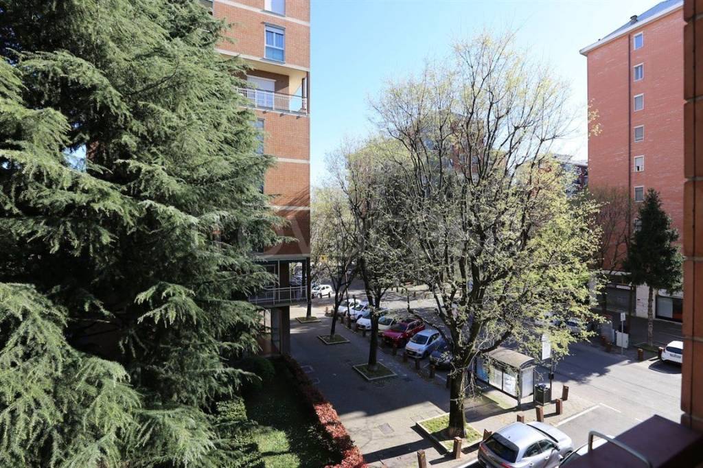 immagine annuncio 5 di 14