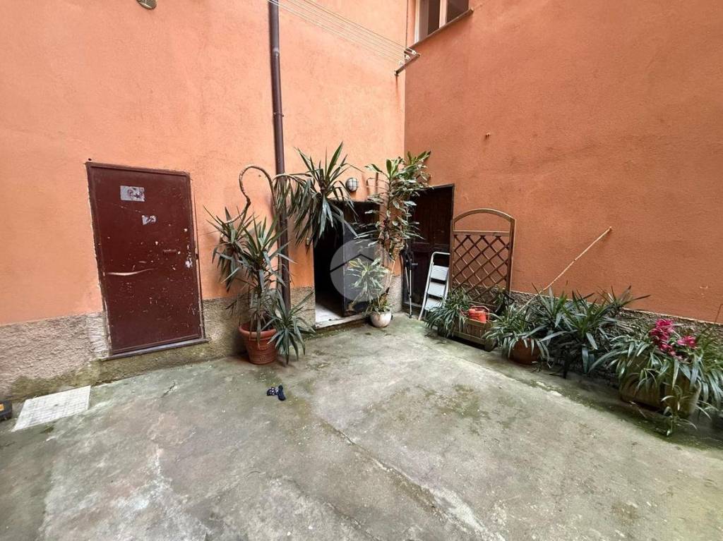 immagine annuncio 1 di 14