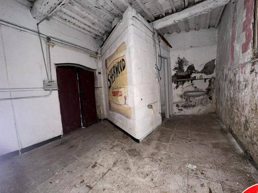 immagine annuncio 3 di 14