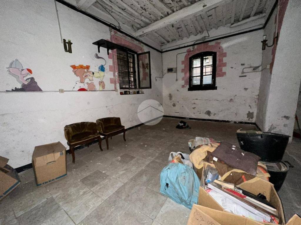 immagine annuncio 5 di 14