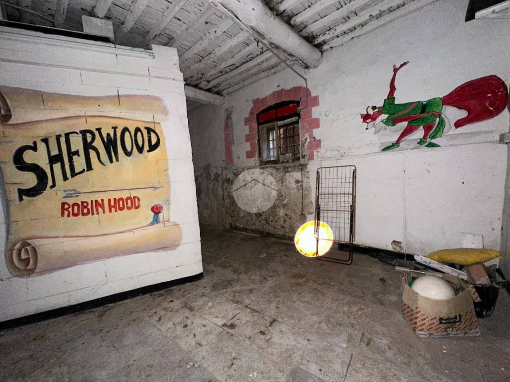 immagine annuncio 12 di 14