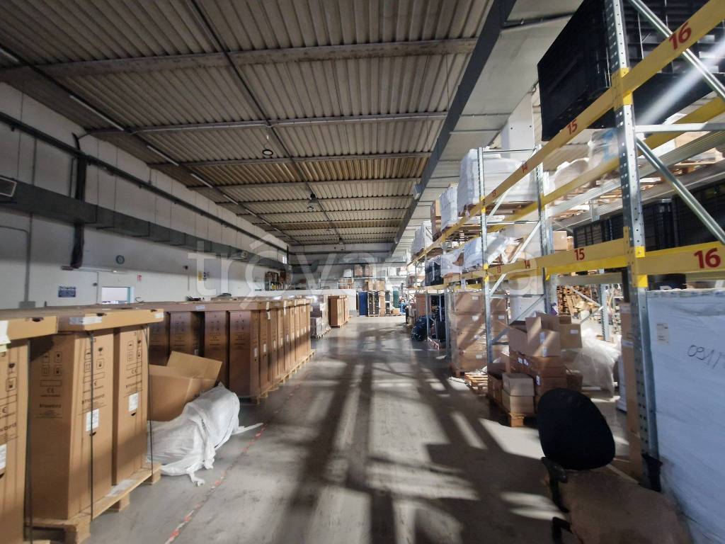 immagine annuncio 10 di 15