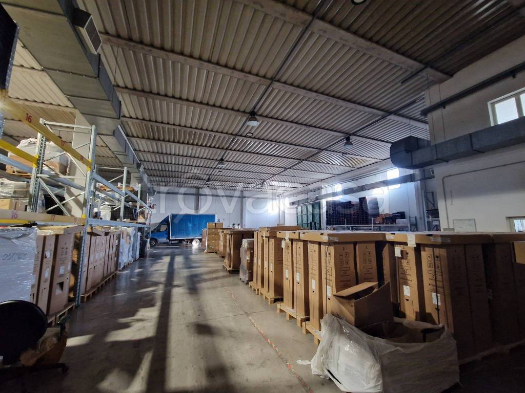 immagine annuncio 12 di 15