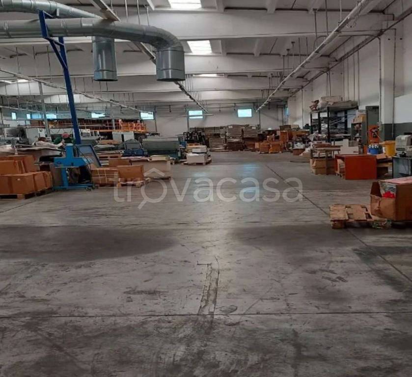 immagine annuncio 5 di 9