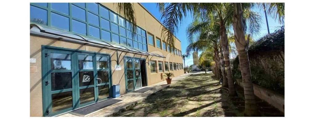 immagine annuncio 8 di 9