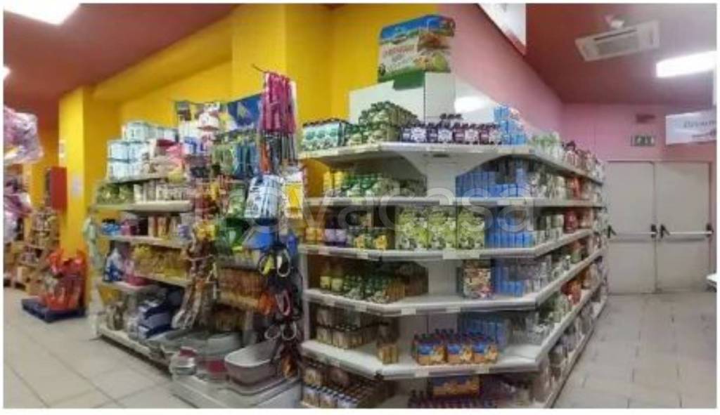 immagine annuncio 4 di 14