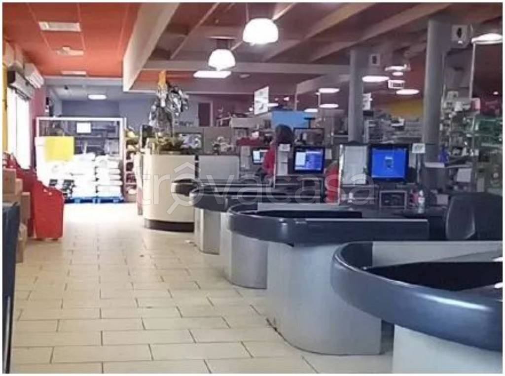 immagine annuncio 5 di 14