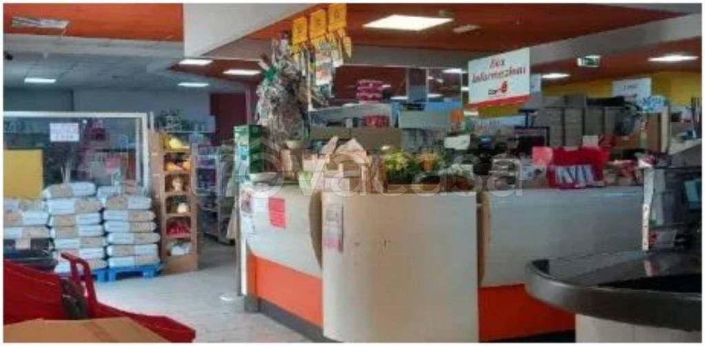 immagine annuncio 8 di 14