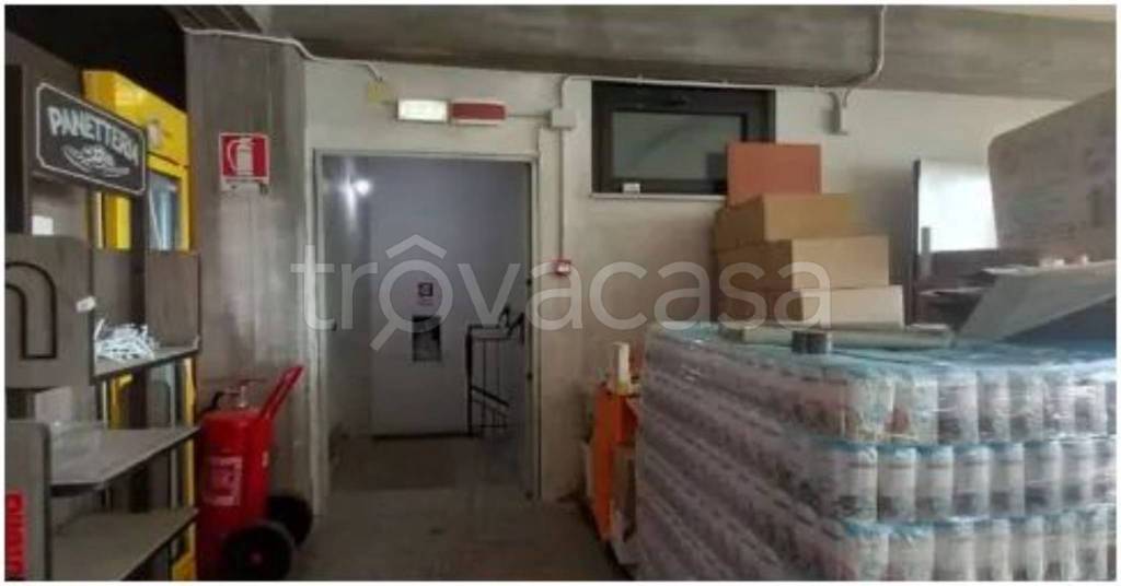 immagine annuncio 11 di 14