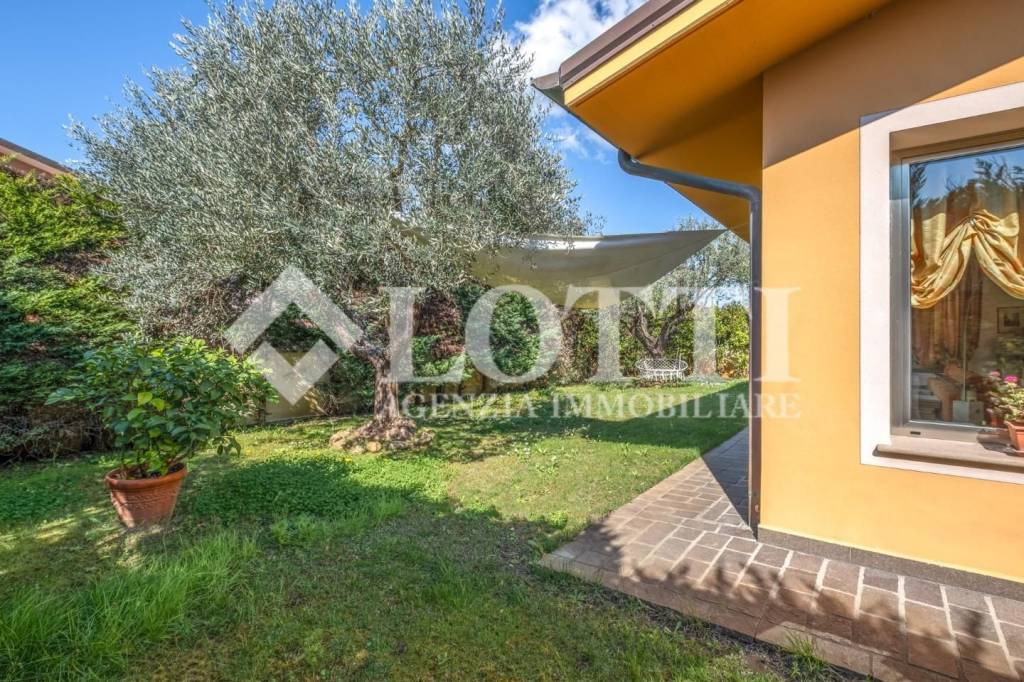 immagine annuncio 3 di 15