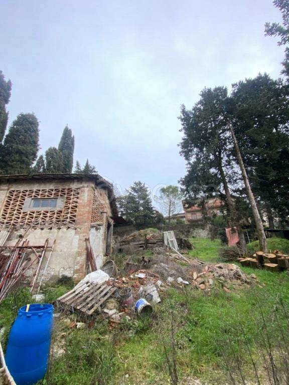 immagine annuncio 11 di 14