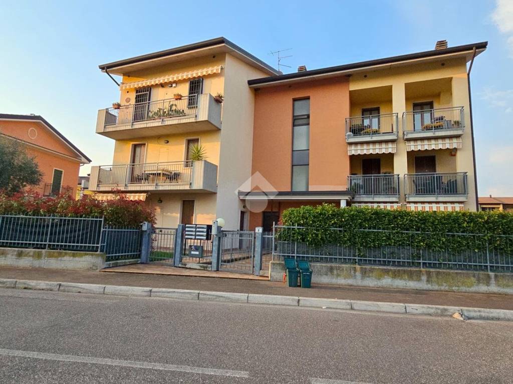 immagine annuncio 1 di 15