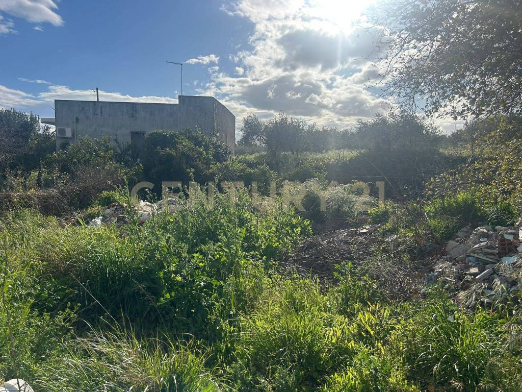 immagine annuncio 5 di 7