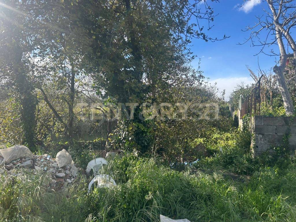 immagine annuncio 6 di 7