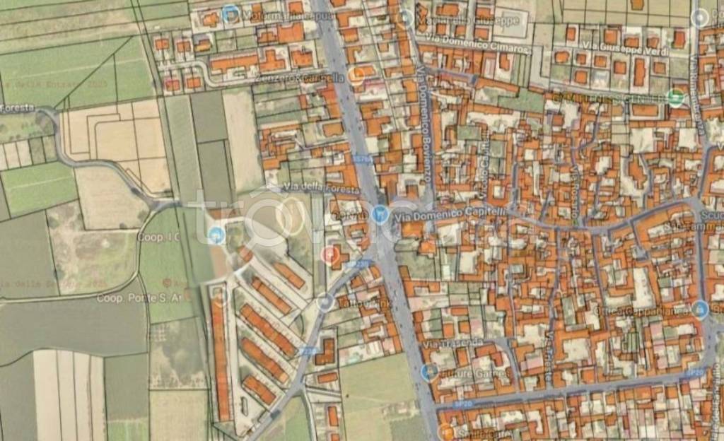 immagine annuncio 4 di 10