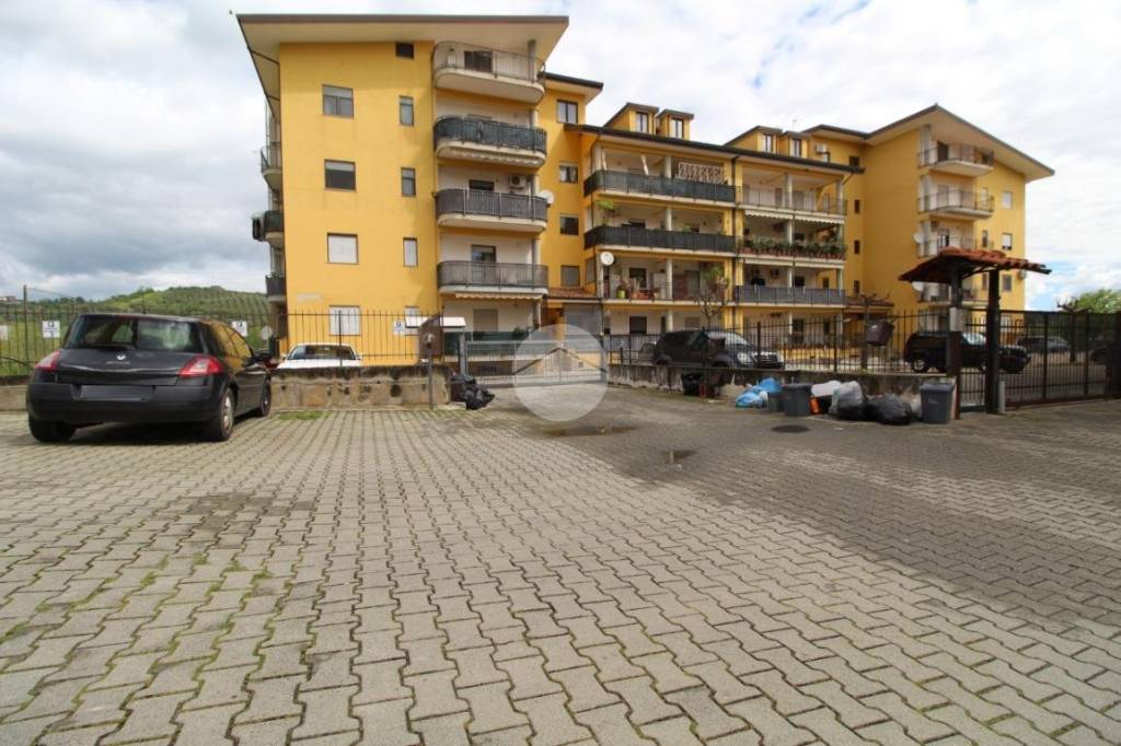 immagine annuncio 7 di 8