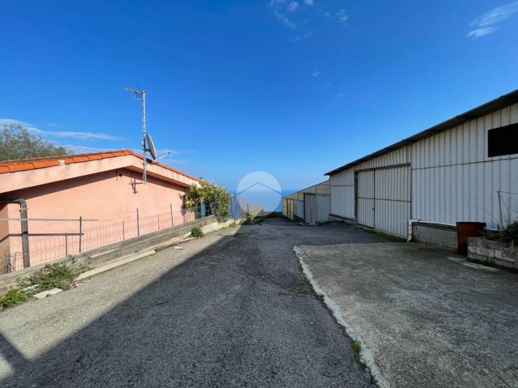 immagine annuncio 6 di 7