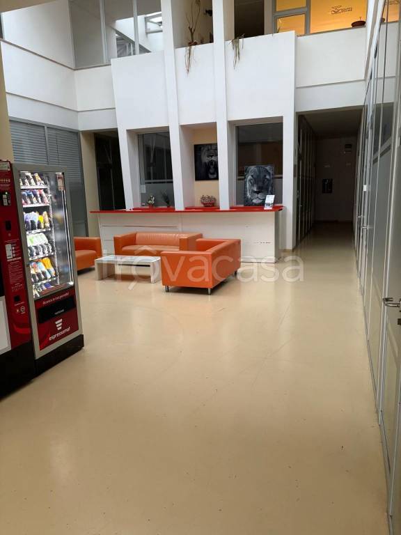 immagine annuncio 2 di 9