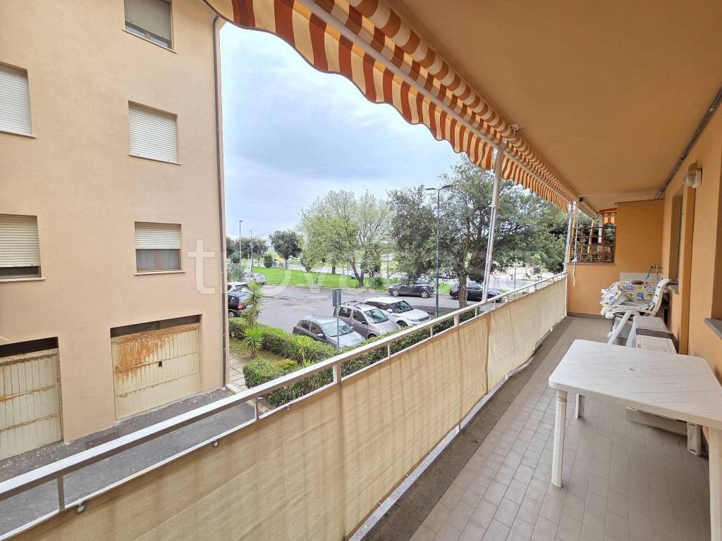 immagine annuncio 3 di 12