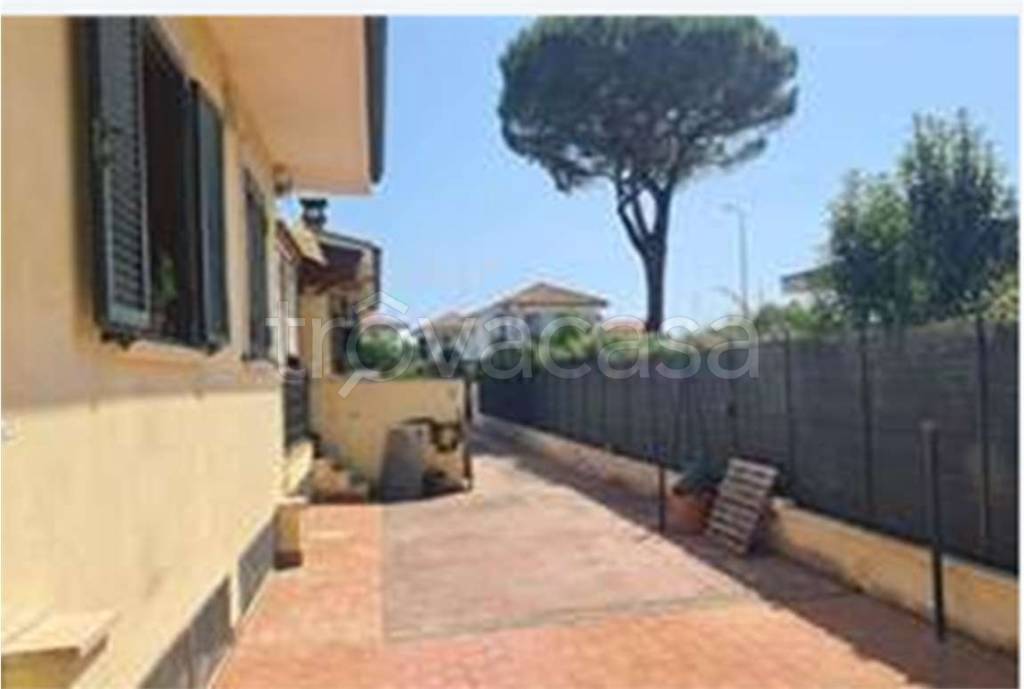 immagine annuncio 2 di 8