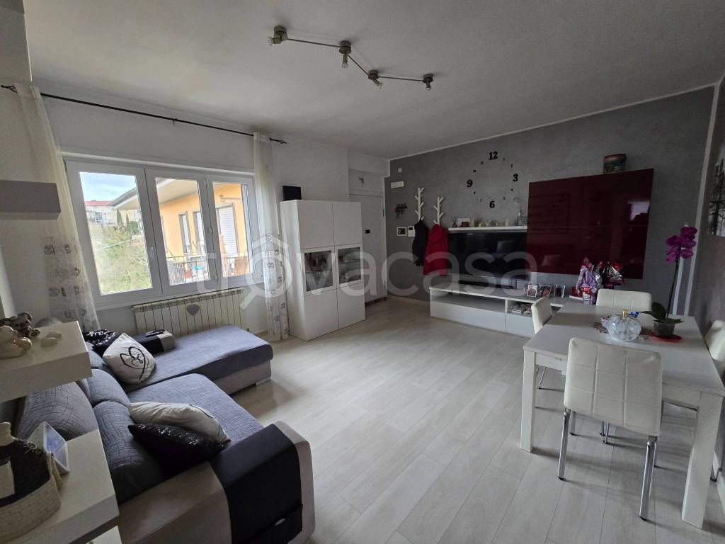 immagine annuncio 1 di 13