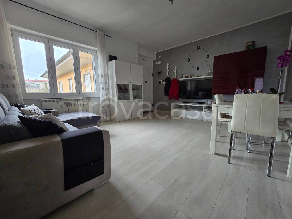 immagine annuncio 2 di 13