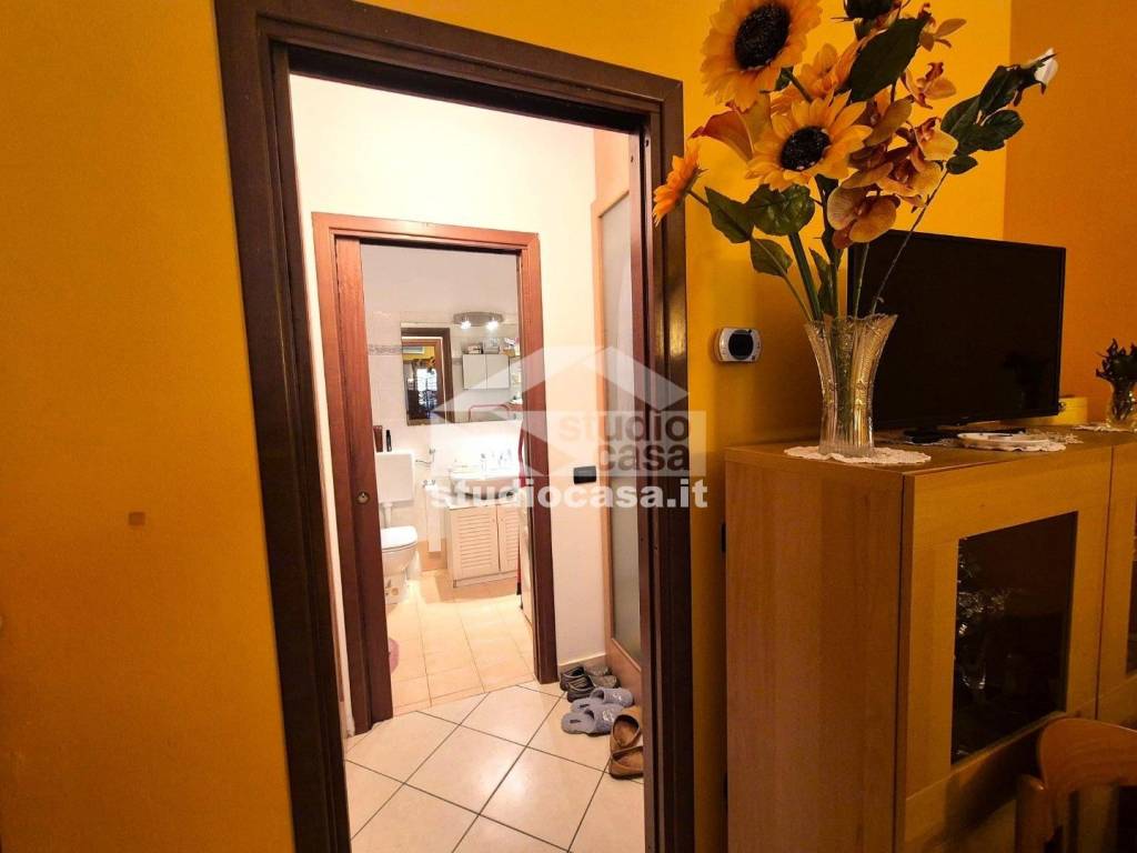 immagine annuncio 4 di 14