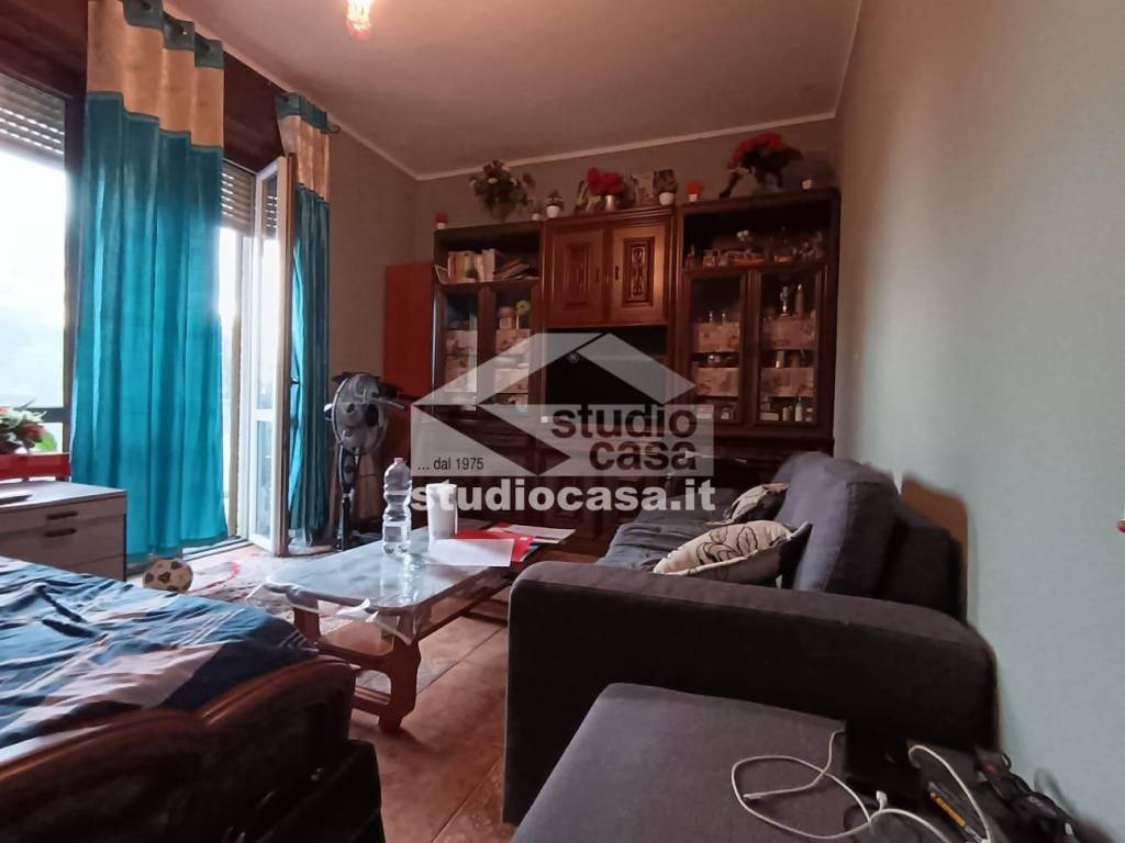 immagine annuncio 6 di 14