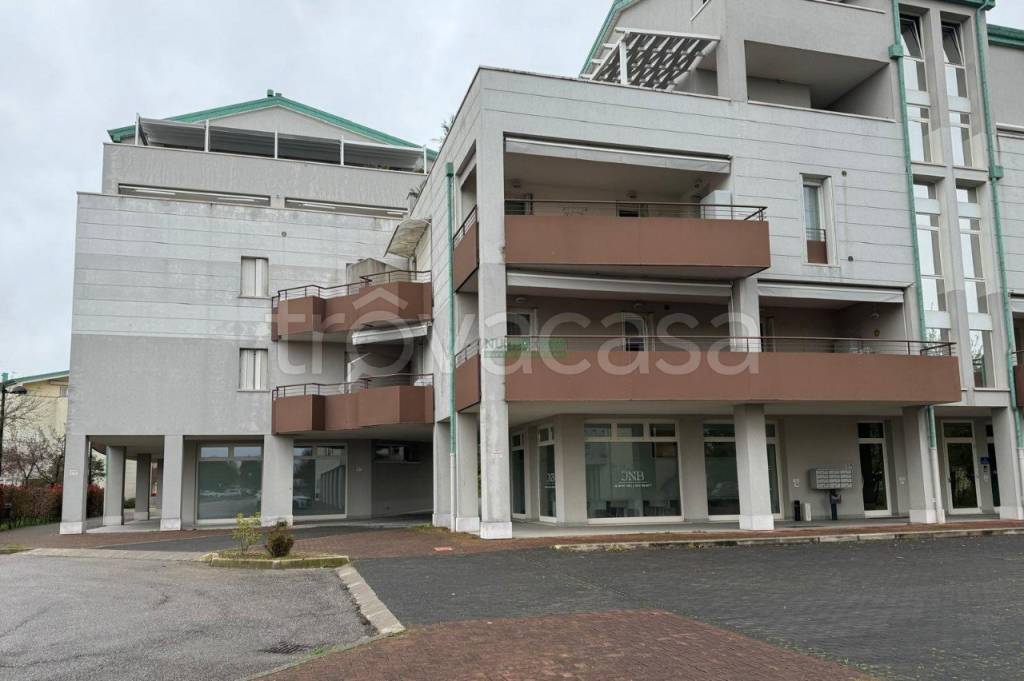 immagine annuncio 14 di 15