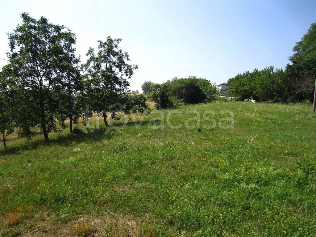 immagine annuncio 9 di 14