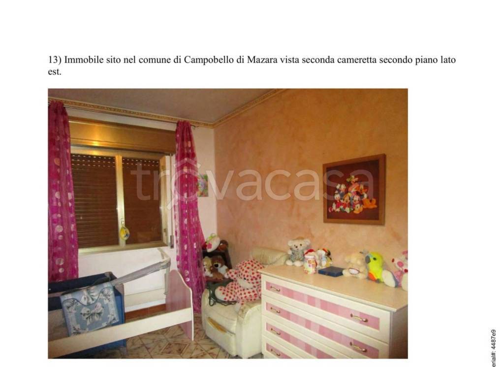 immagine annuncio 5 di 12