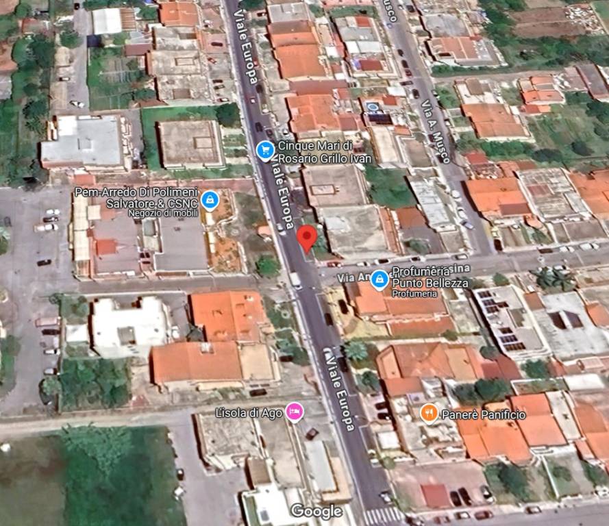 immagine annuncio 12 di 15