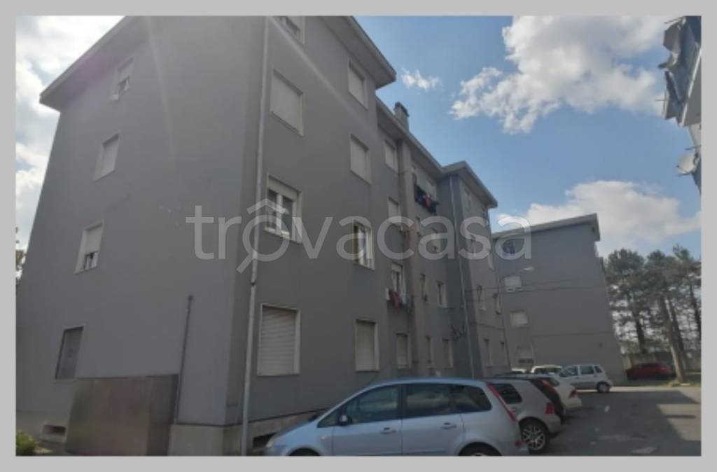 immagine annuncio 12 di 15