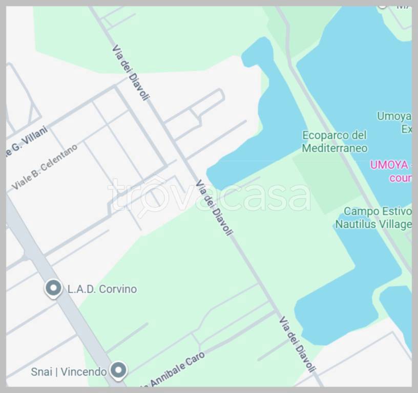 immagine annuncio 9 di 15