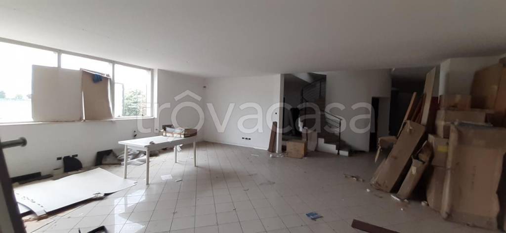 immagine annuncio 7 di 8