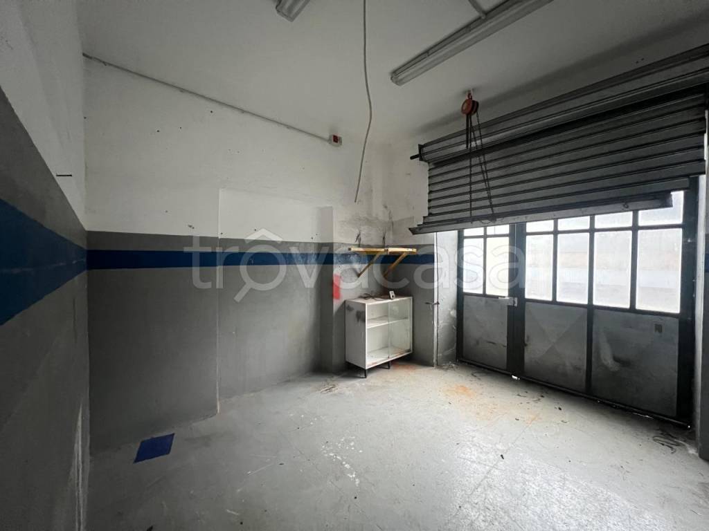 immagine annuncio 3 di 8