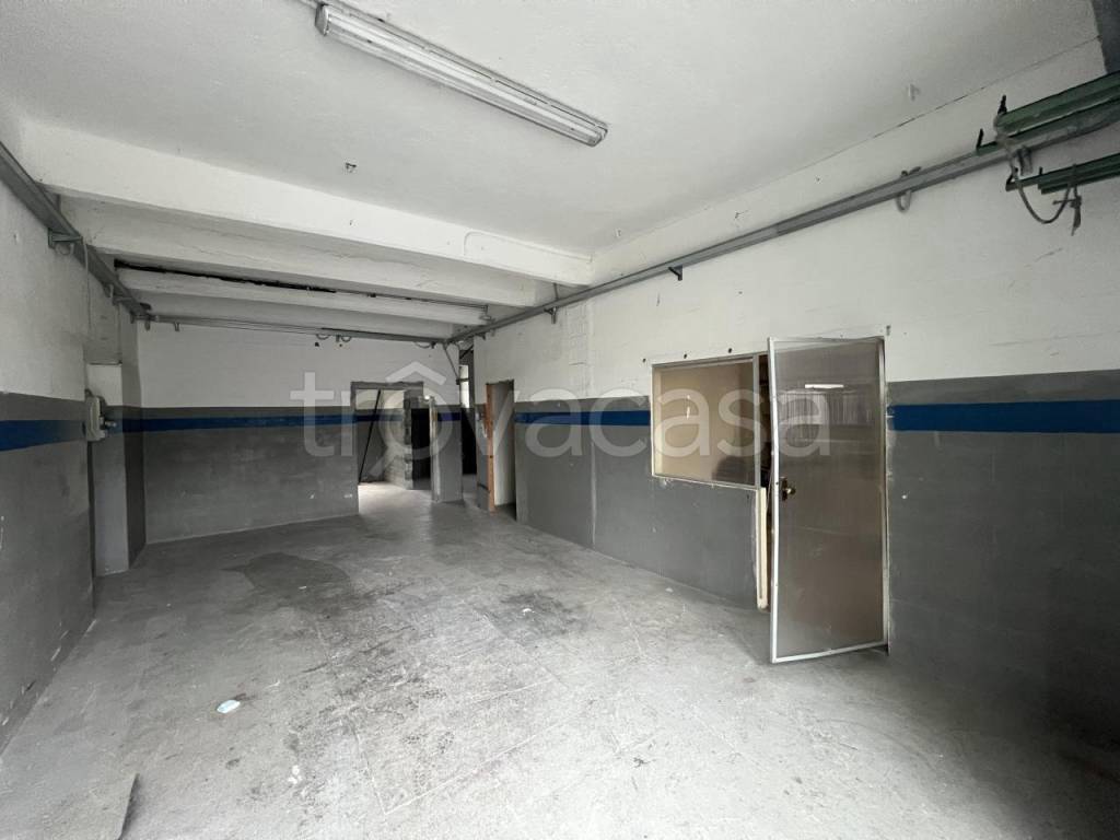 immagine annuncio 5 di 8